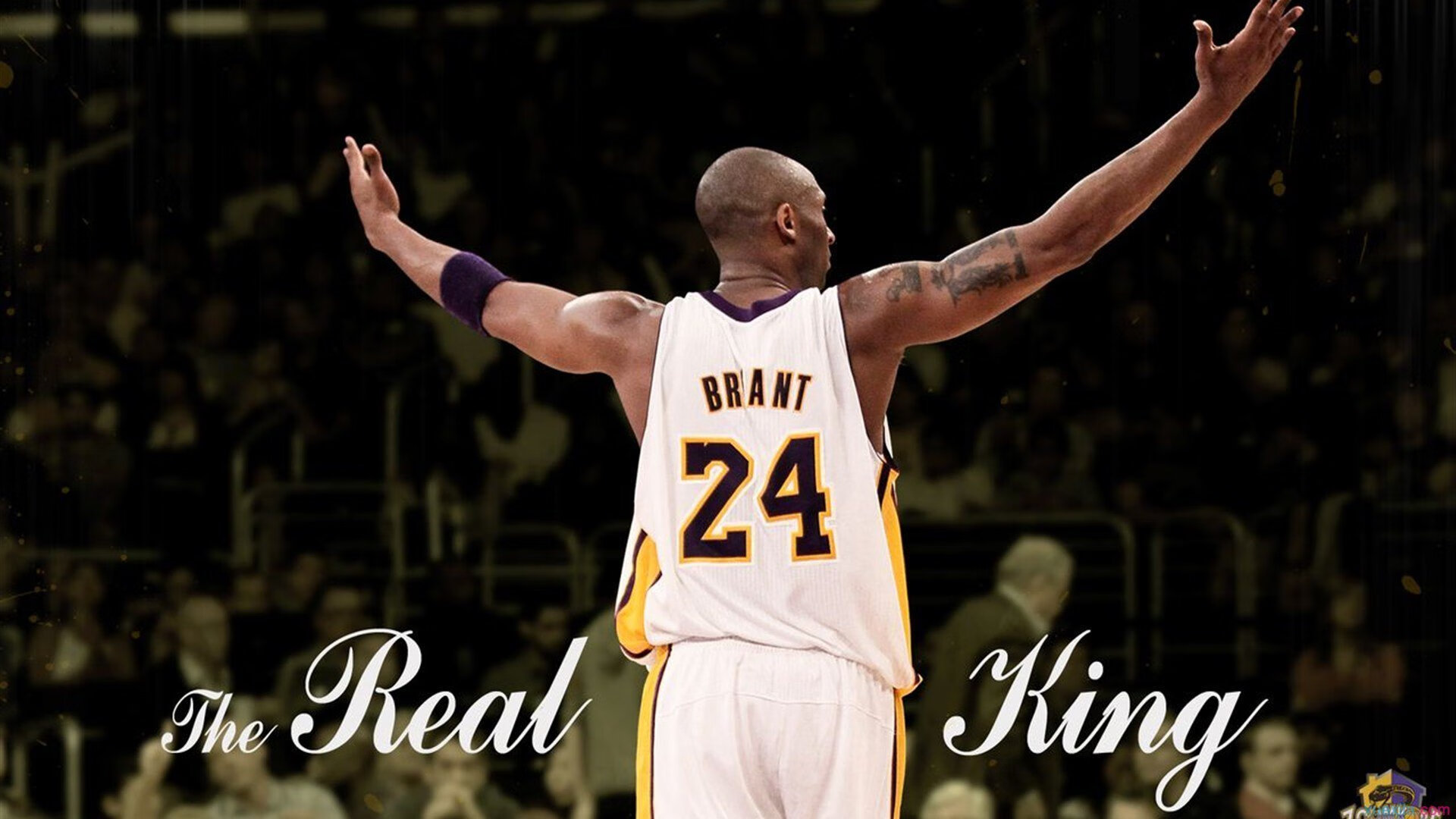 伦敦奥运会倒计时，期待精彩演出，伦敦奥运会绚烂落幕